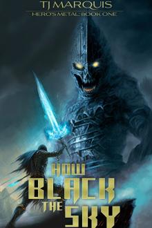 Cover of How Black the Sky