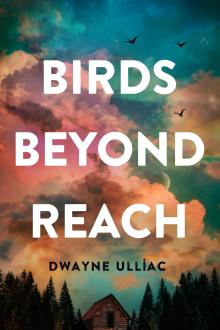 Cover of Birds Beyond Reach