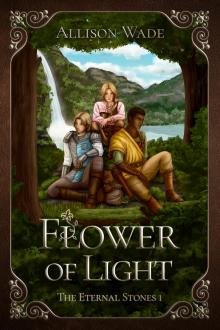 Cover of Flower of Light