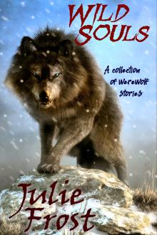 Cover of Wild Souls