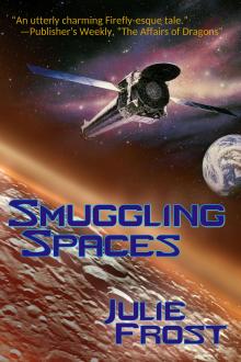 Cover of Smuggling Spaces