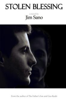 Cover of Stolen Blessing
