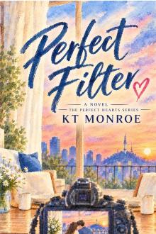 Cover of Perfect Filter