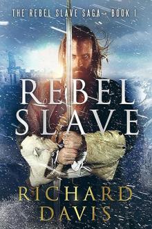 Cover of Rebel Slave
