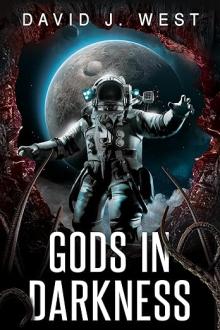 Cover of Gods in Darkness