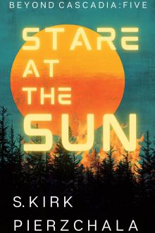 Cover of Stare at the Sun
