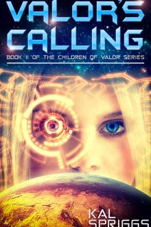 Cover of Valor's Calling