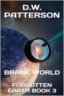 Cover of Brane World