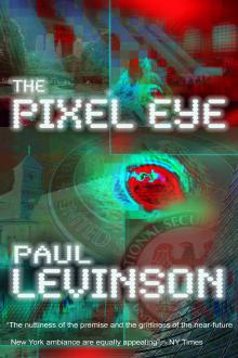 Cover of The Pixel Eye