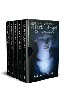 Cover of Dark Angel Chronicles, The Complete Series