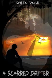 Cover of The Scarred Drifter