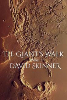 Cover of The Giant's Walk