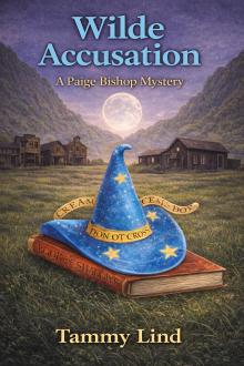 Cover of Wilde Accusation
