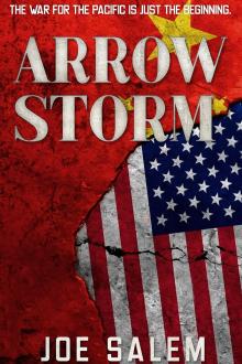 Cover of Arrow Storm