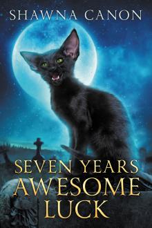 Cover of Seven Years Awesome Luck