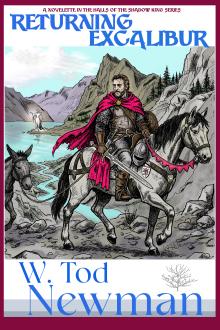 Cover of Returning Excalibur