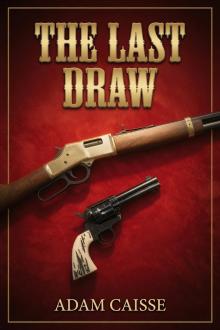 Cover of The Last Draw