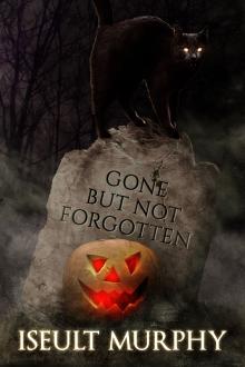 Cover of Gone But Not Forgotten