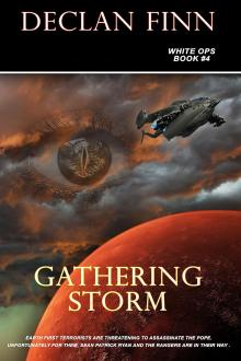 Cover of Gathering Storm