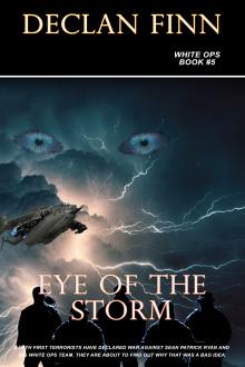 Cover of Eye Of The Storm
