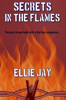 Cover of Secrets In The Flames