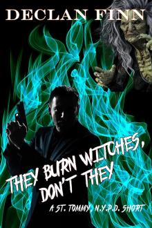 Cover of They Burn Witches, Don't They?