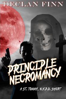 Cover of Principle Necromancy