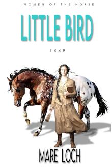 Cover of Little Bird